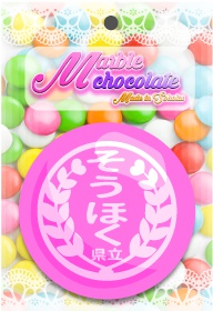 【缶バッジ】マーブルチョコ風 校章缶バッジ 総北