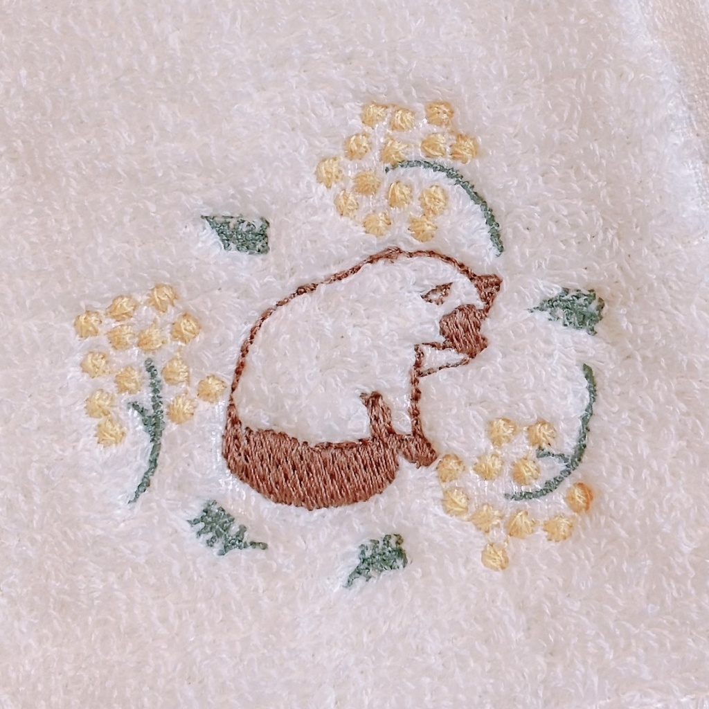 ๐ฉ๐๐๐ ๐ก๐๐ค๐๐ -๐๐๐๐๐ ๐&๐๐๐ก-