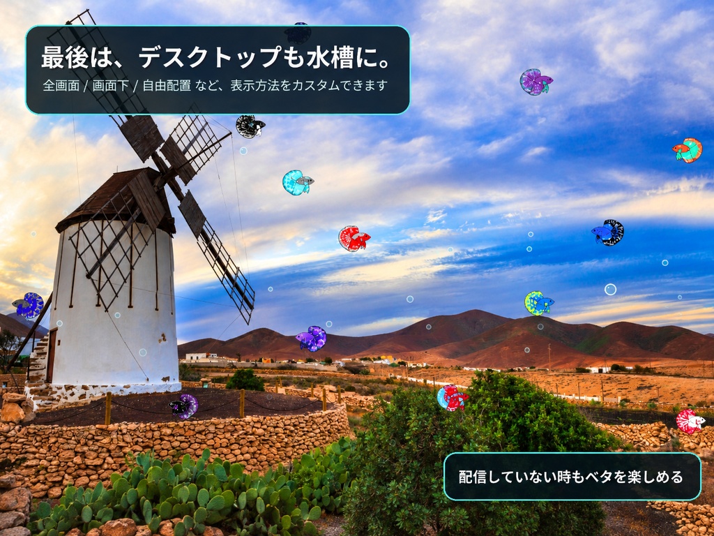 【Twitch・OBS対応】Betta Aquarium Overlay|チャネポでエサをあげられる透過水槽
