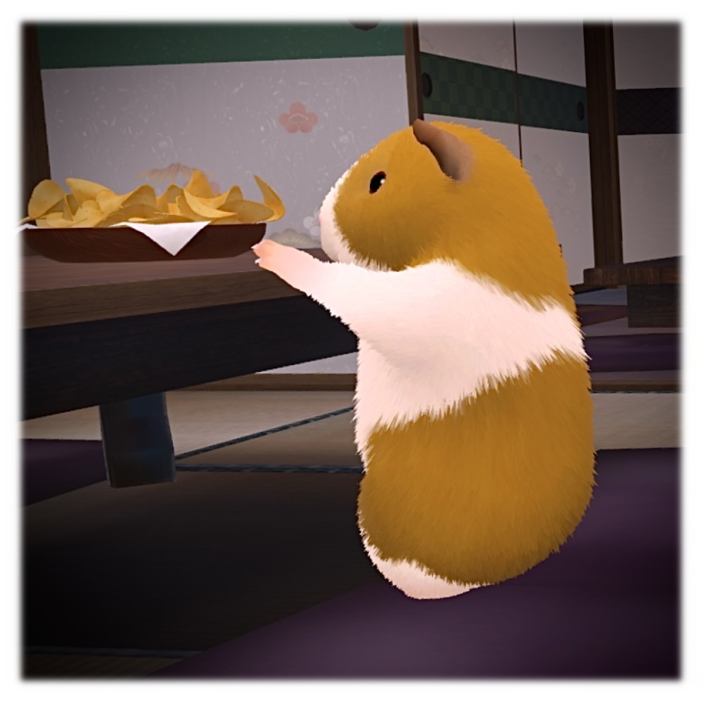 【VRChat】 プイプイさん|モルモット アバター(PC・Quest 対応)