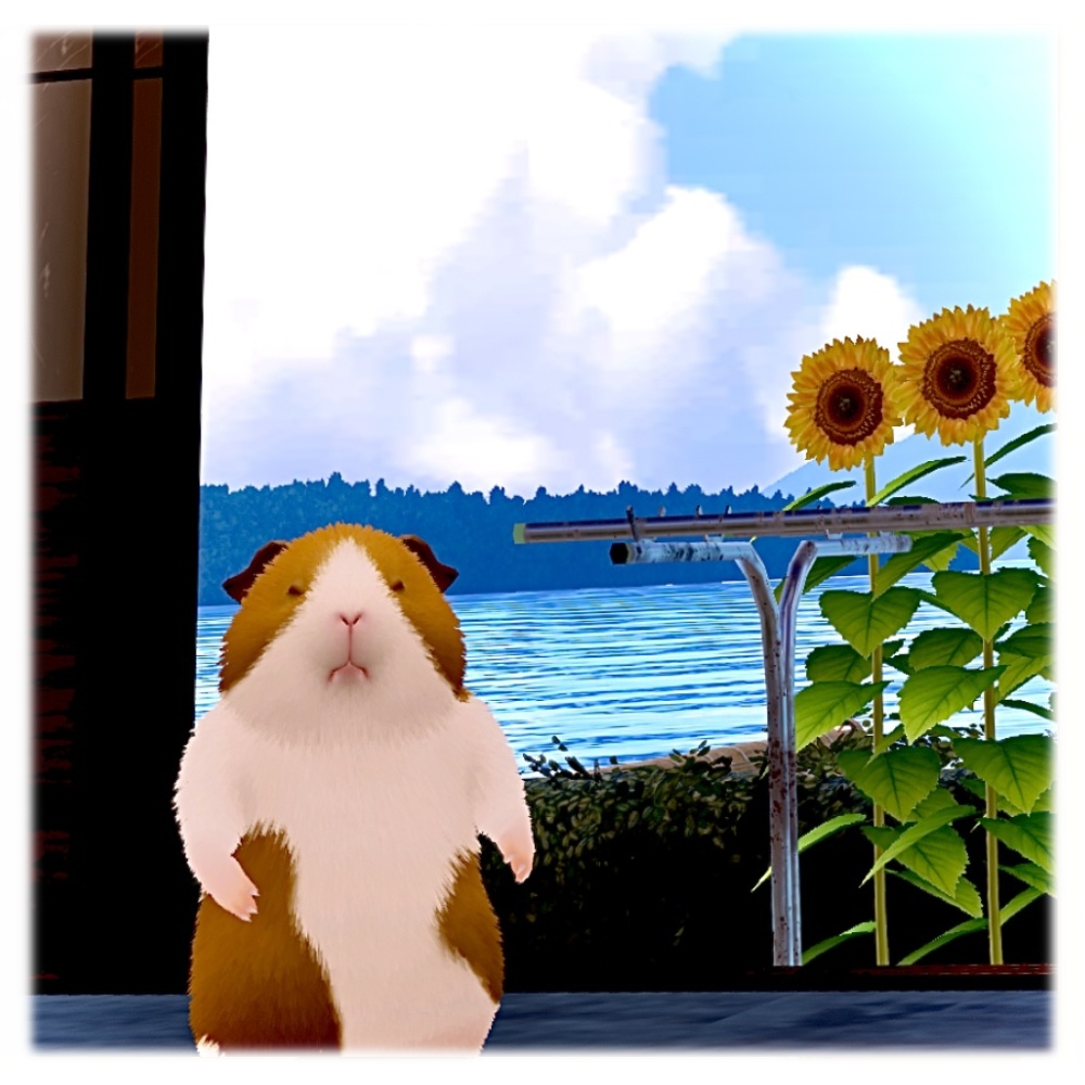 【VRChat】 プイプイさん|モルモット アバター(PC・Quest 対応)