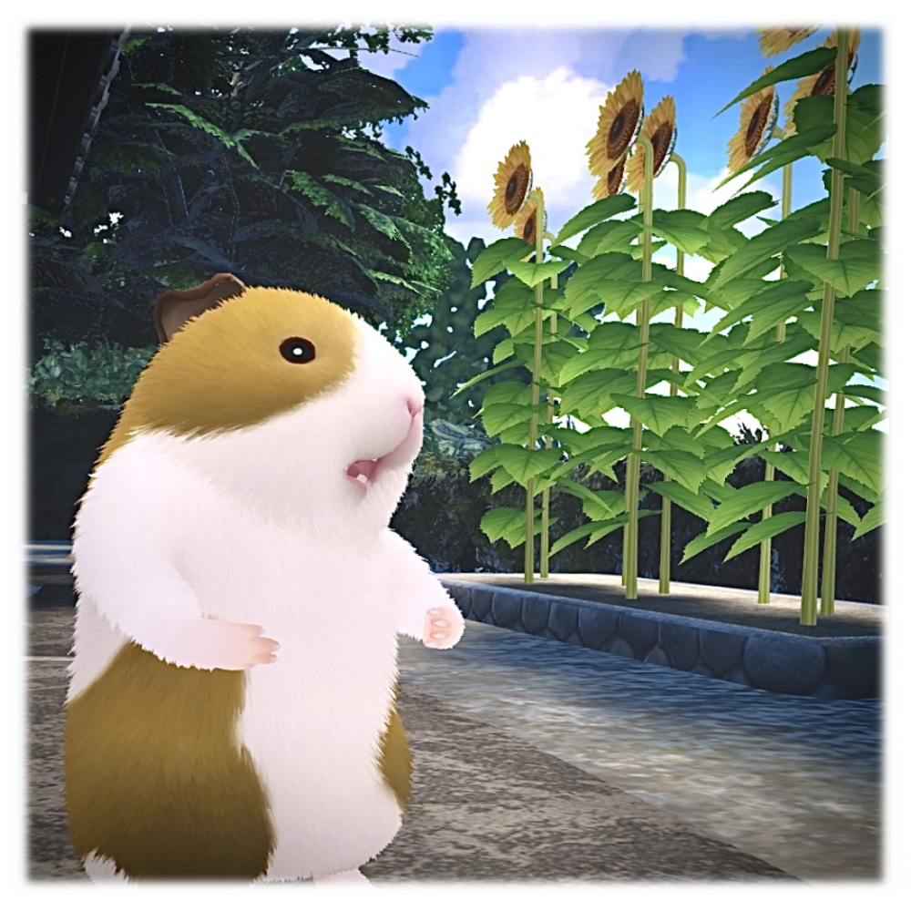 【VRChat】 プイプイさん|モルモット アバター(PC・Quest 対応)