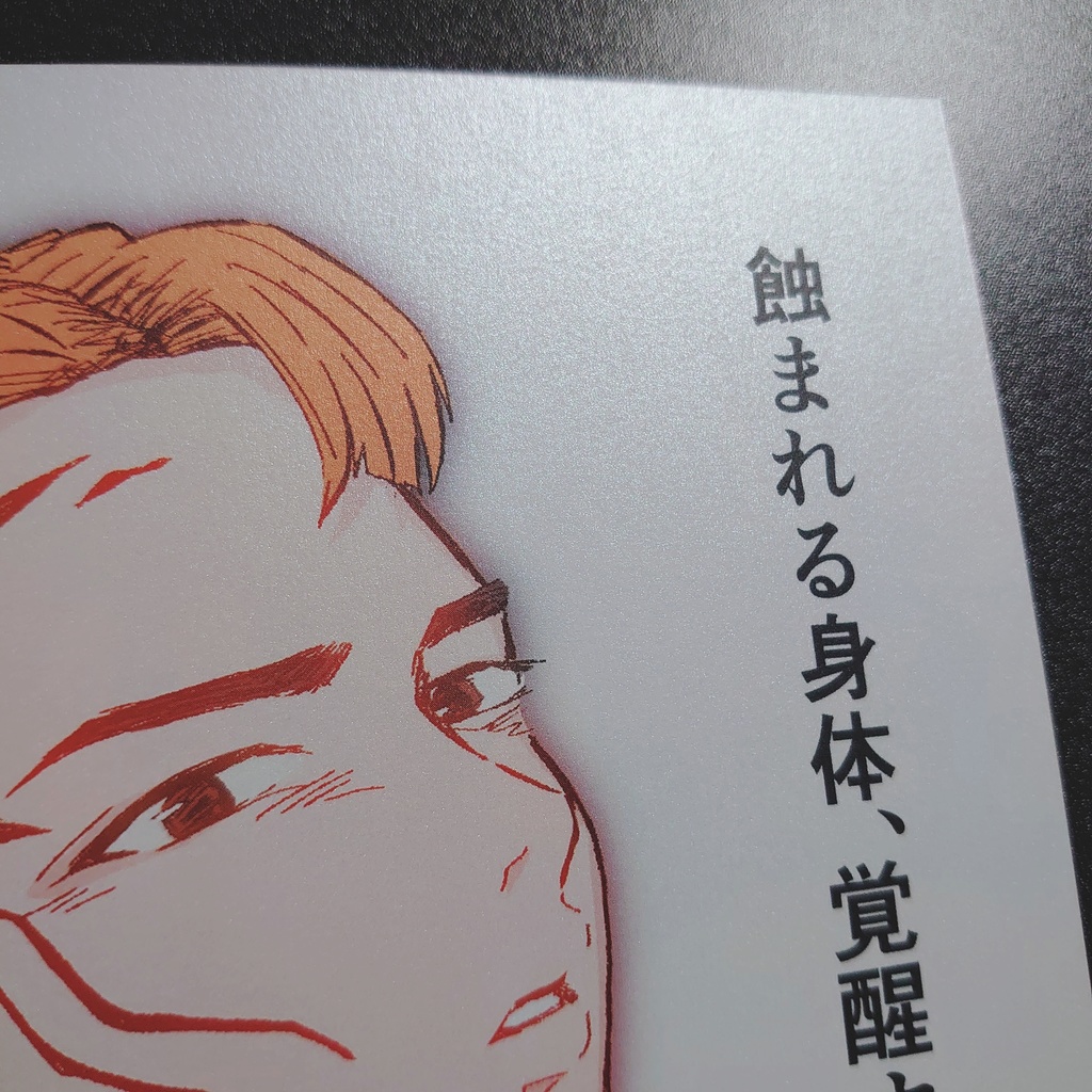 イラスト集『100경호』