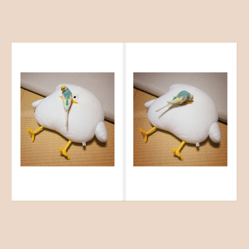 とりもち写真集