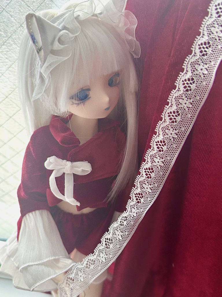 ドール服1/4 🍷