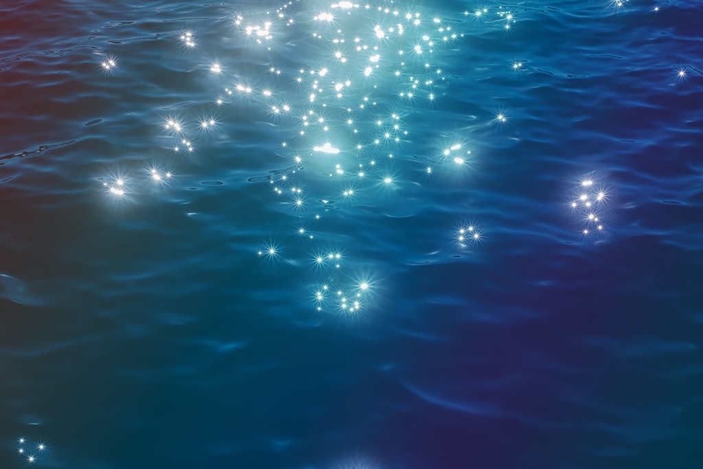 水面ステッカー　ムキむきver