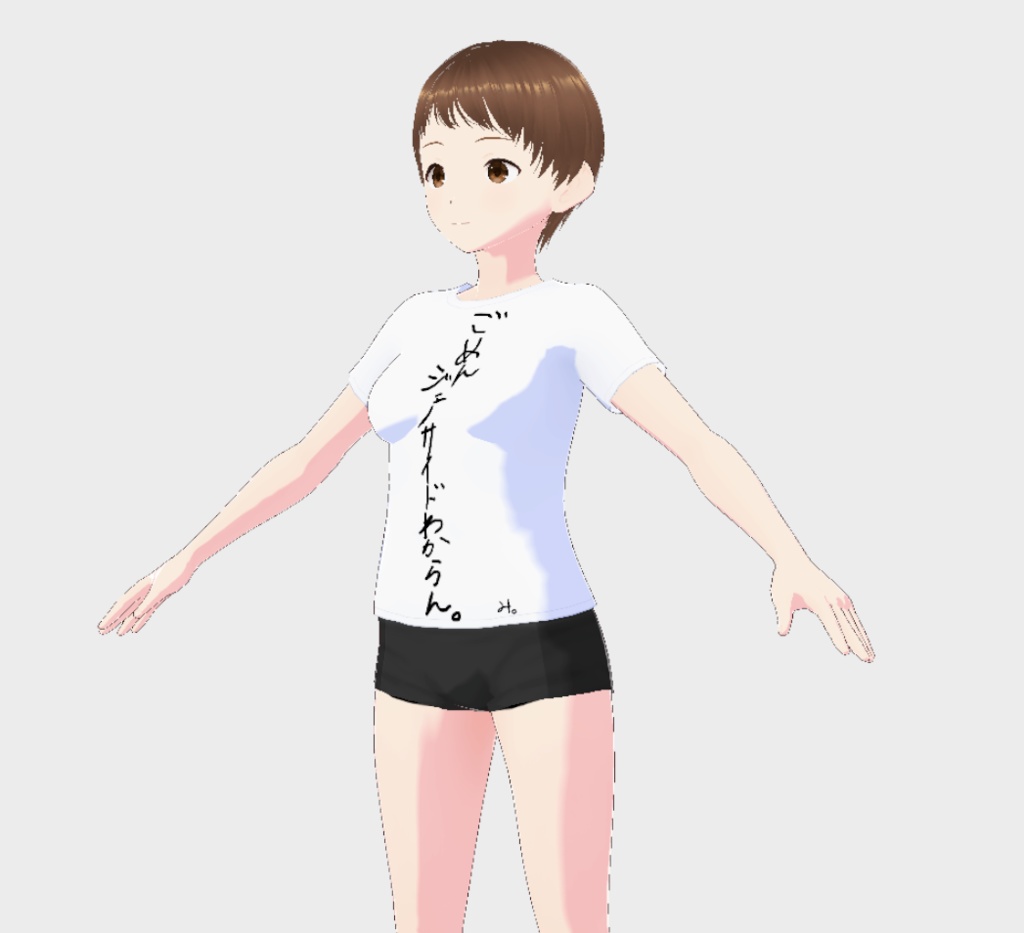 いたって普通のTシャツ2枚