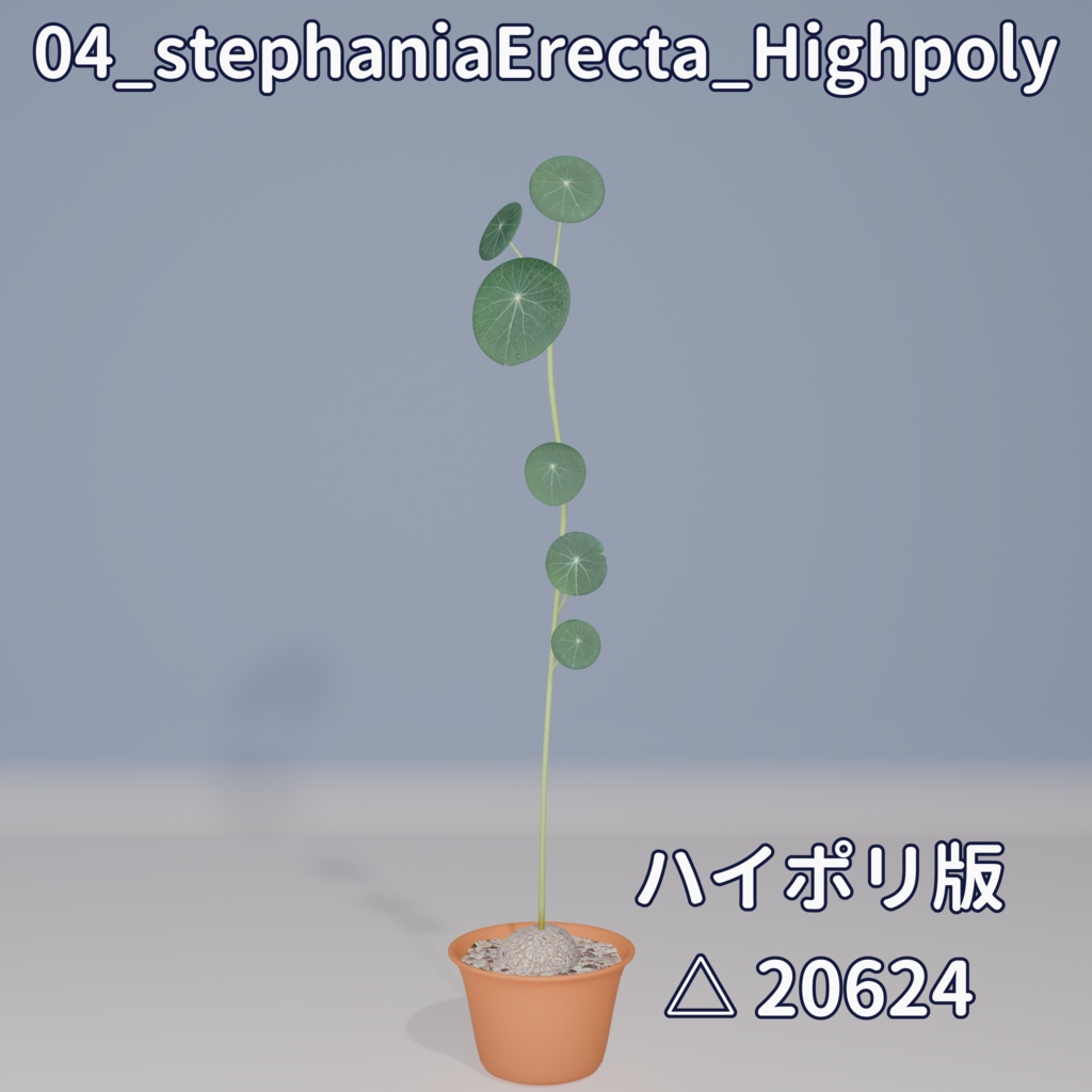 【VRC対応】ステファニア・エレクタ(Stephania Erecta)