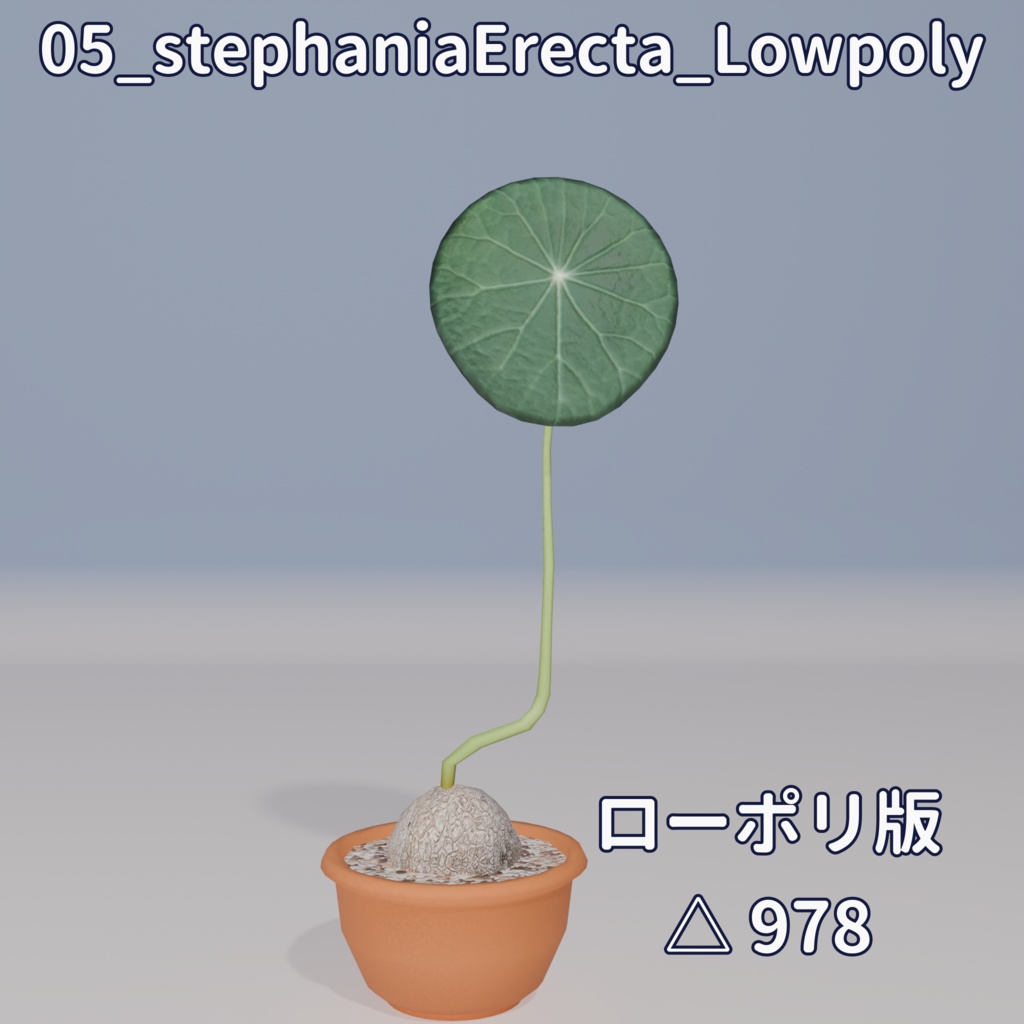 【VRC対応】ステファニア・エレクタ(Stephania Erecta)