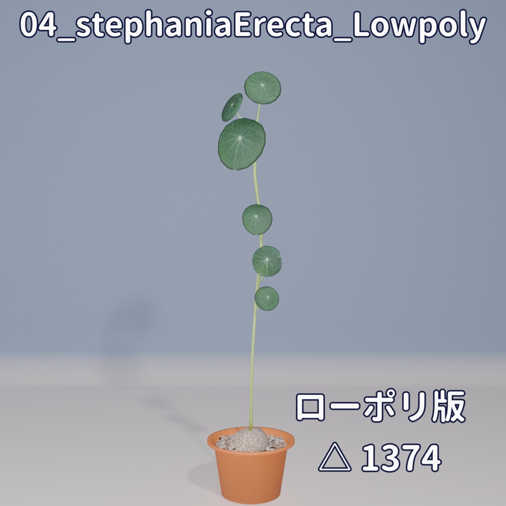 【VRC対応】ステファニア・エレクタ(Stephania Erecta)