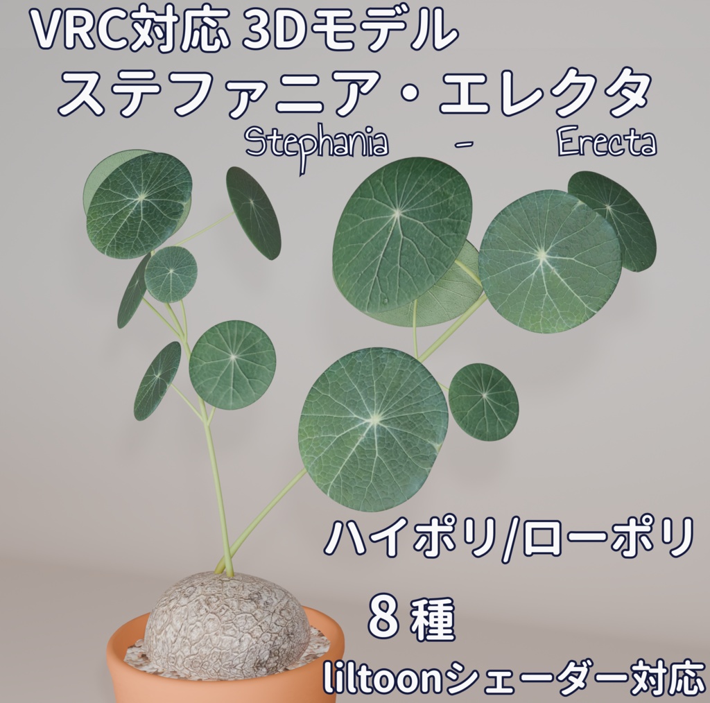 【VRC対応】ステファニア・エレクタ（Stephania Erecta）