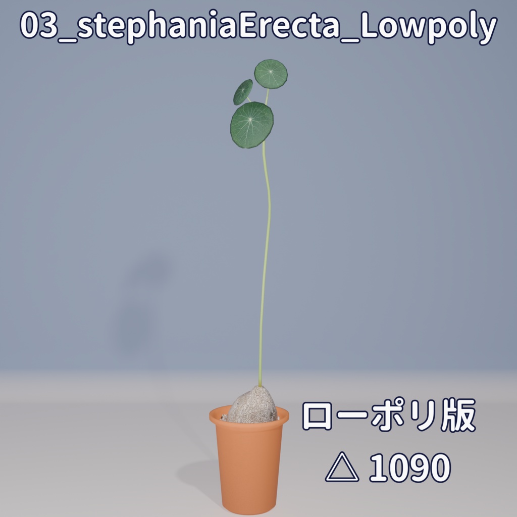 【VRC対応】ステファニア・エレクタ(Stephania Erecta)