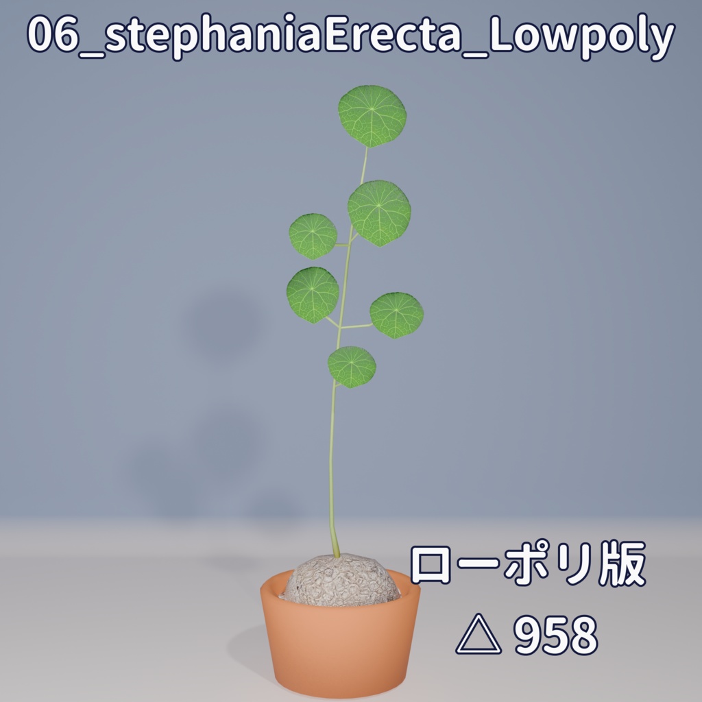 【VRC対応】ステファニア・エレクタ(Stephania Erecta)