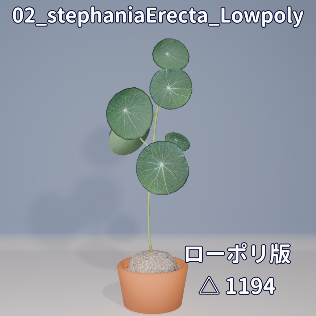 【VRC対応】ステファニア・エレクタ(Stephania Erecta)
