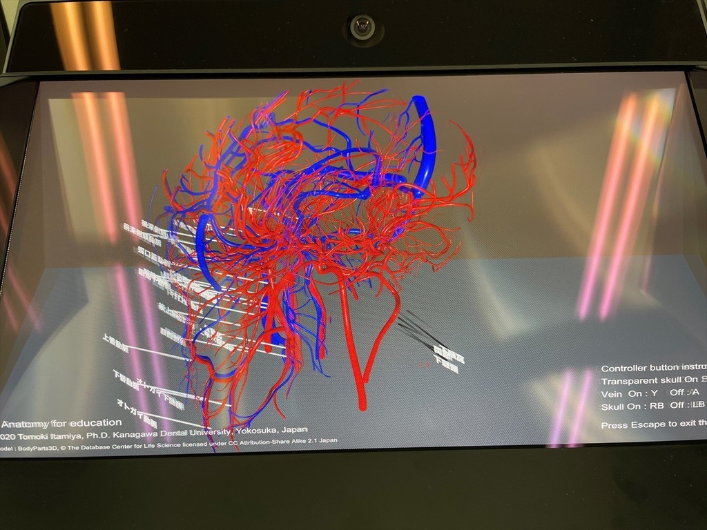空間再現ディスプレイ用解剖学教育コンテンツ(デモ版)