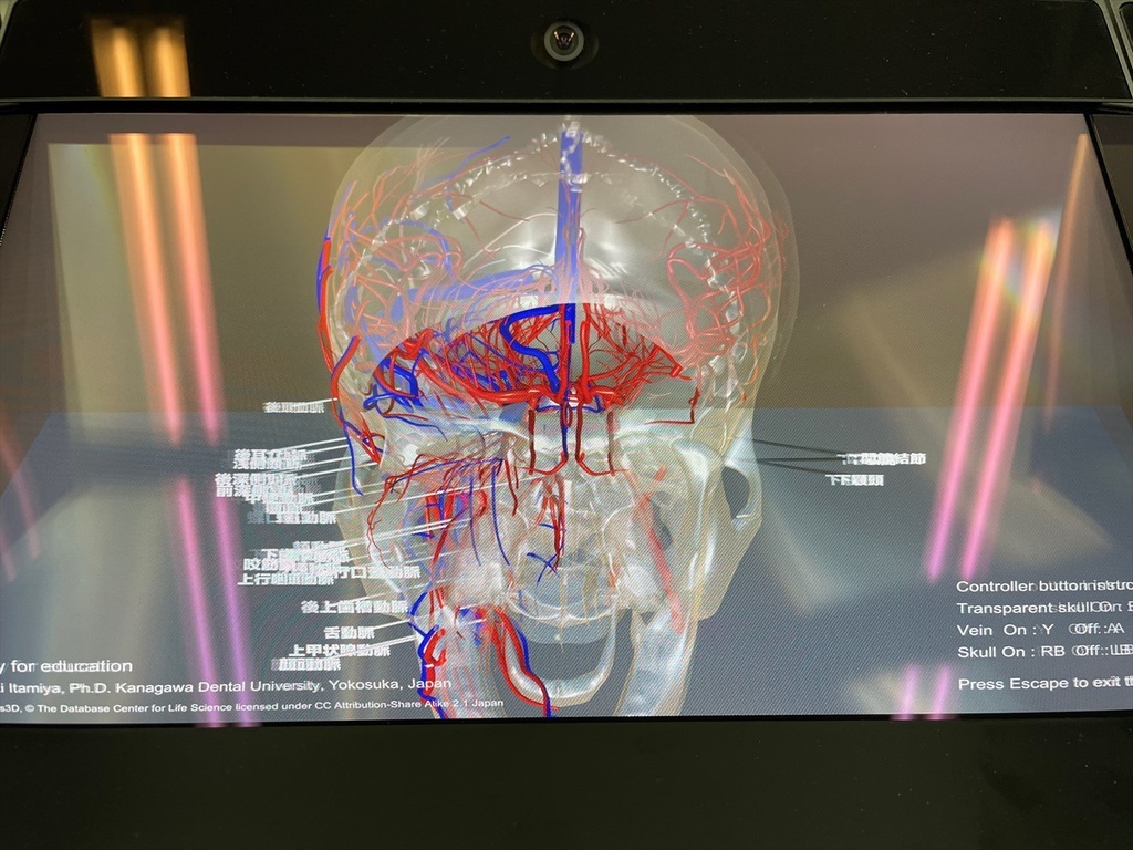 空間再現ディスプレイ用解剖学教育コンテンツ(デモ版)