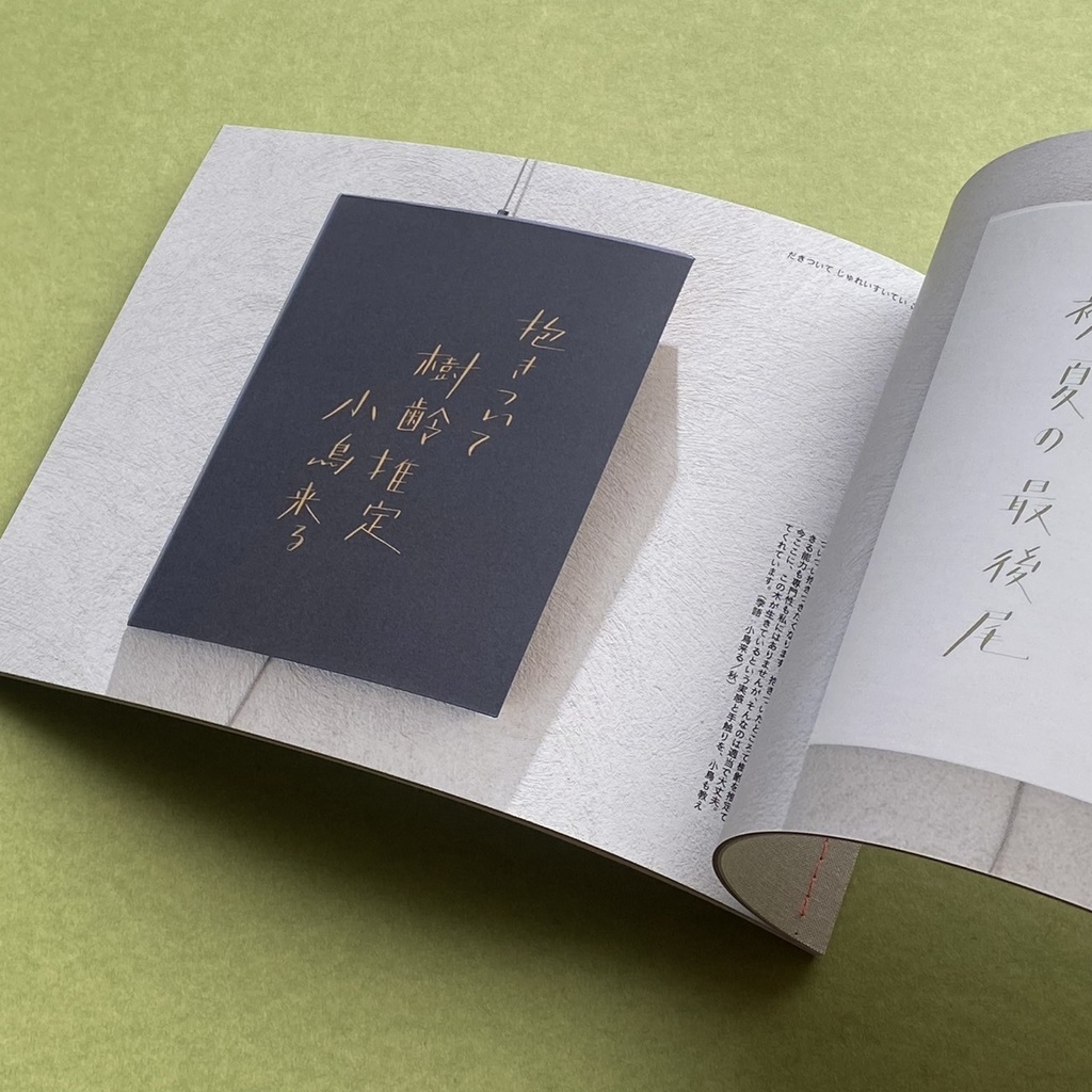 文字を編む、言葉をほどく haiku calligraphy exhibition zine