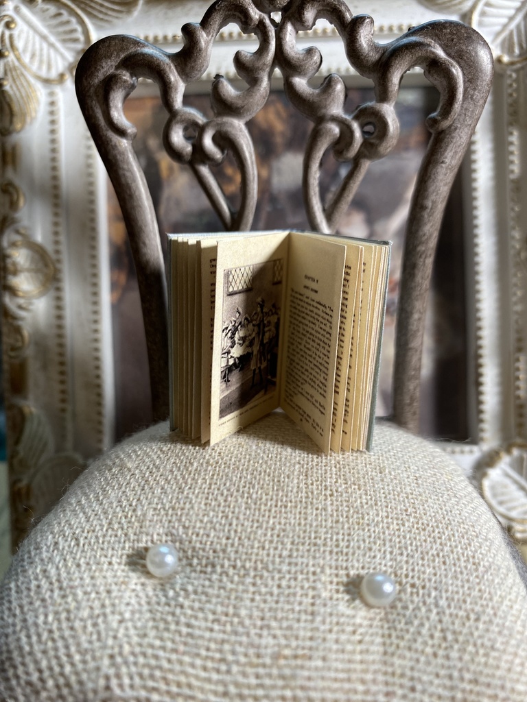 ミニチュア書籍《Anne of Green Gables》