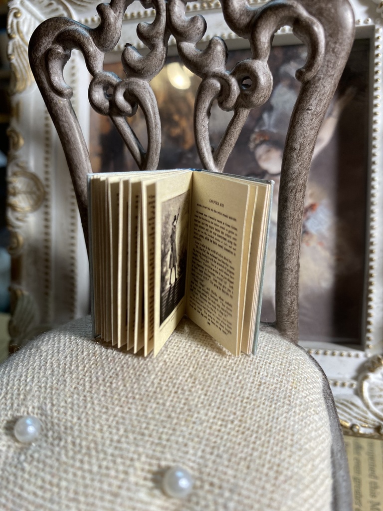 ミニチュア書籍《Anne of Green Gables》