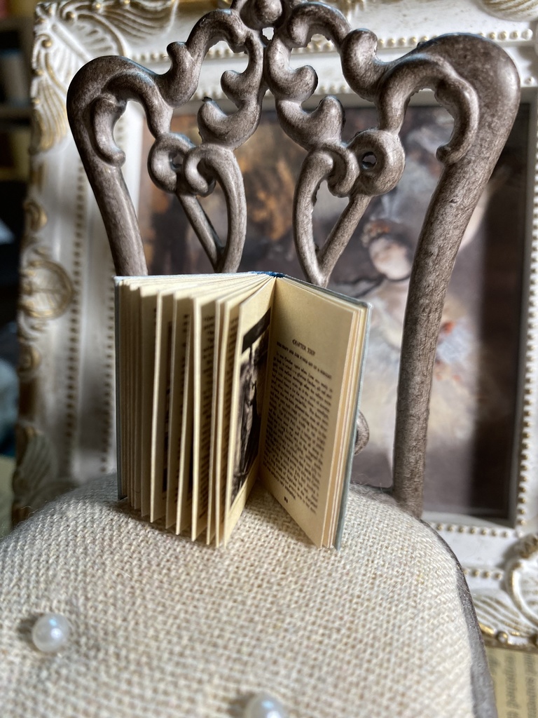 ミニチュア書籍《Anne of Green Gables》