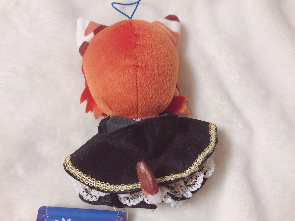 夜の魔法使いセット