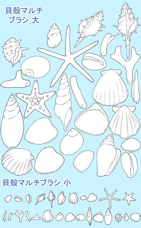 手描き貝殻素材集(クリスタ/PSD/PNG)