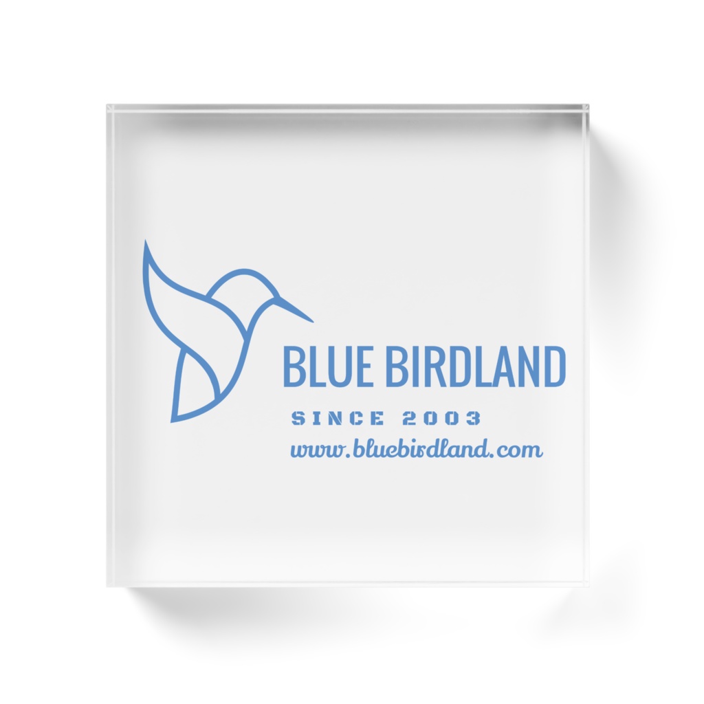 アクリルブロック 10cmx10cm Type-B