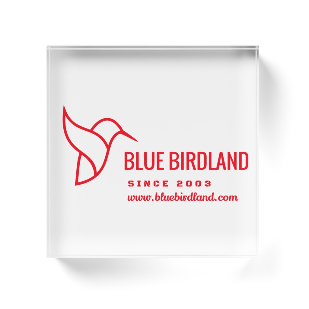 アクリルブロック 10cmx10cm Type-C