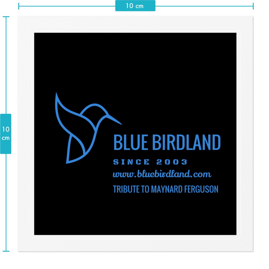 ステッカー 10cmx10cm (C)