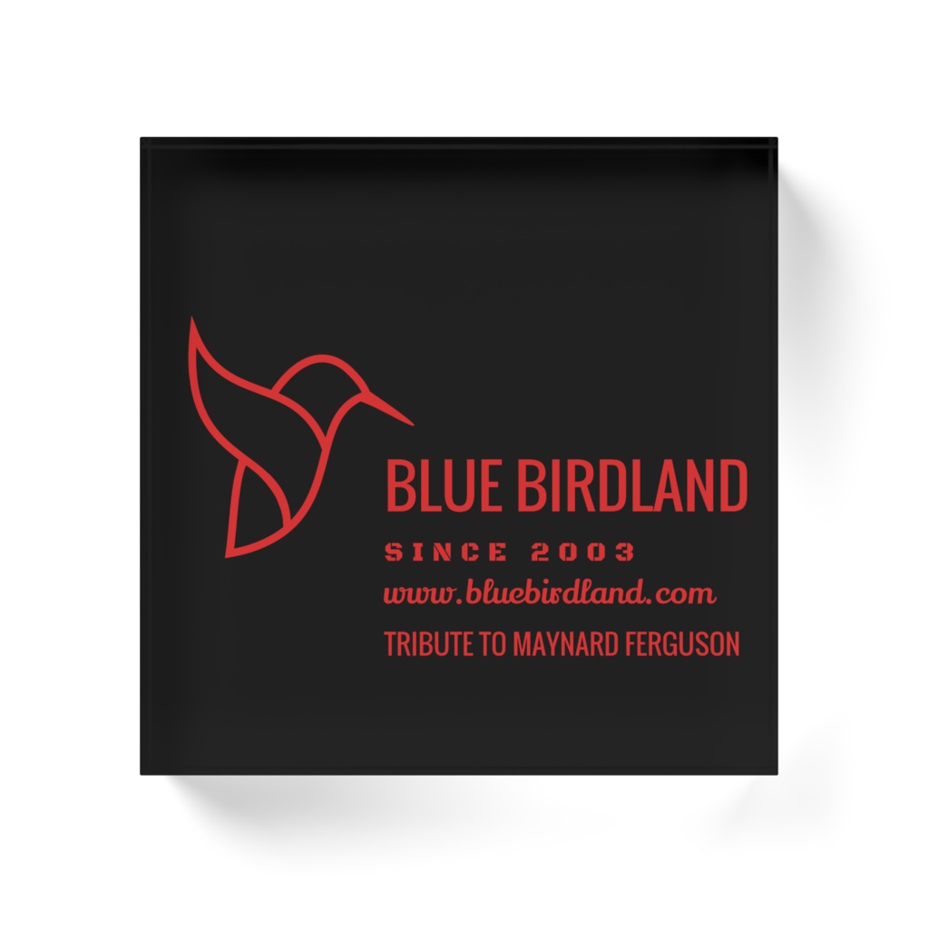 アクリルブロック 10cmx10cm Type-F