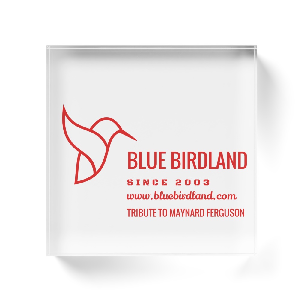 アクリルブロック 10cmx10cm Type-H