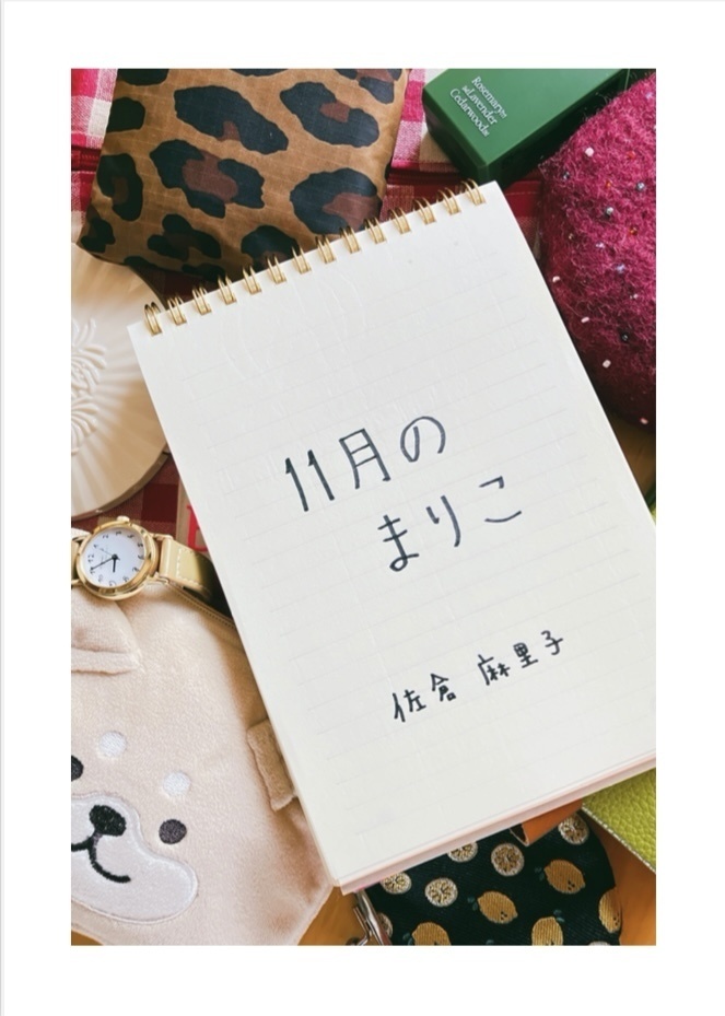 日記のZINE『11月のまりこ』