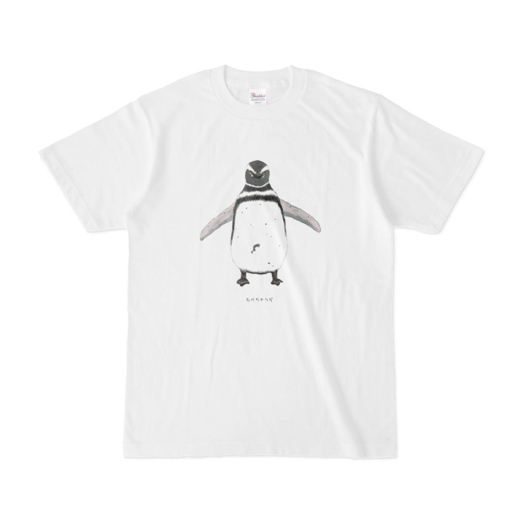 マゼランペンギンT