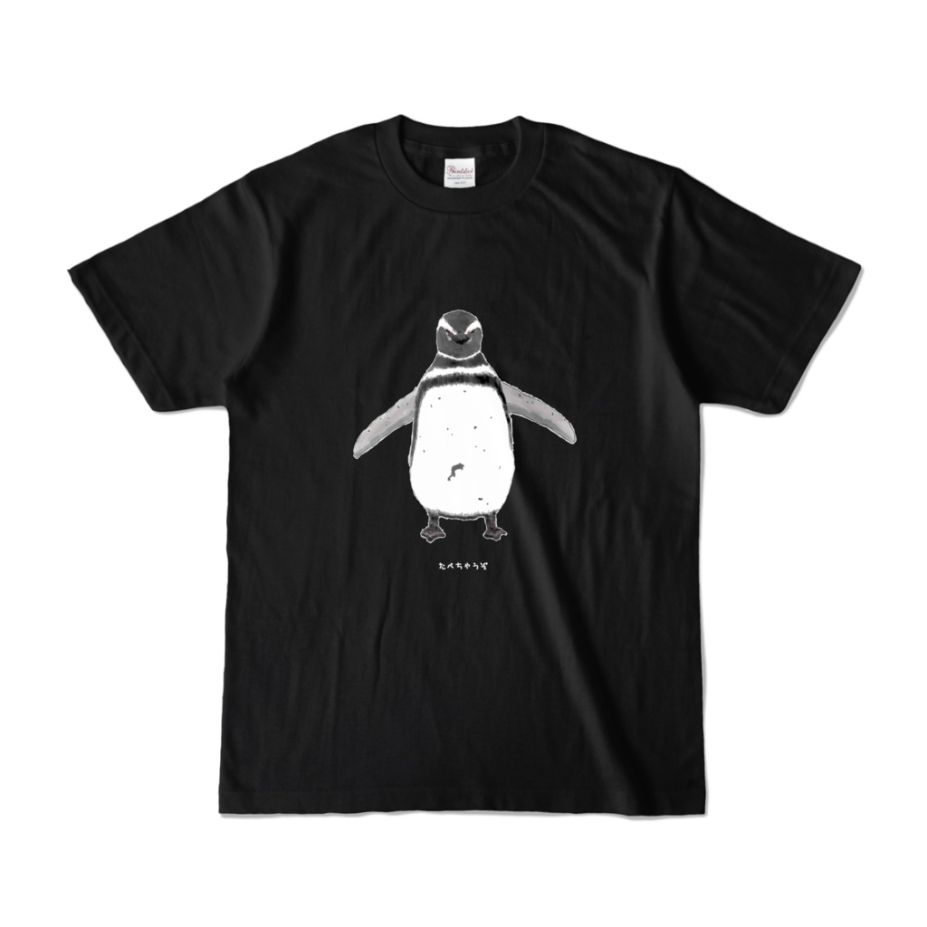 マゼランペンギンT