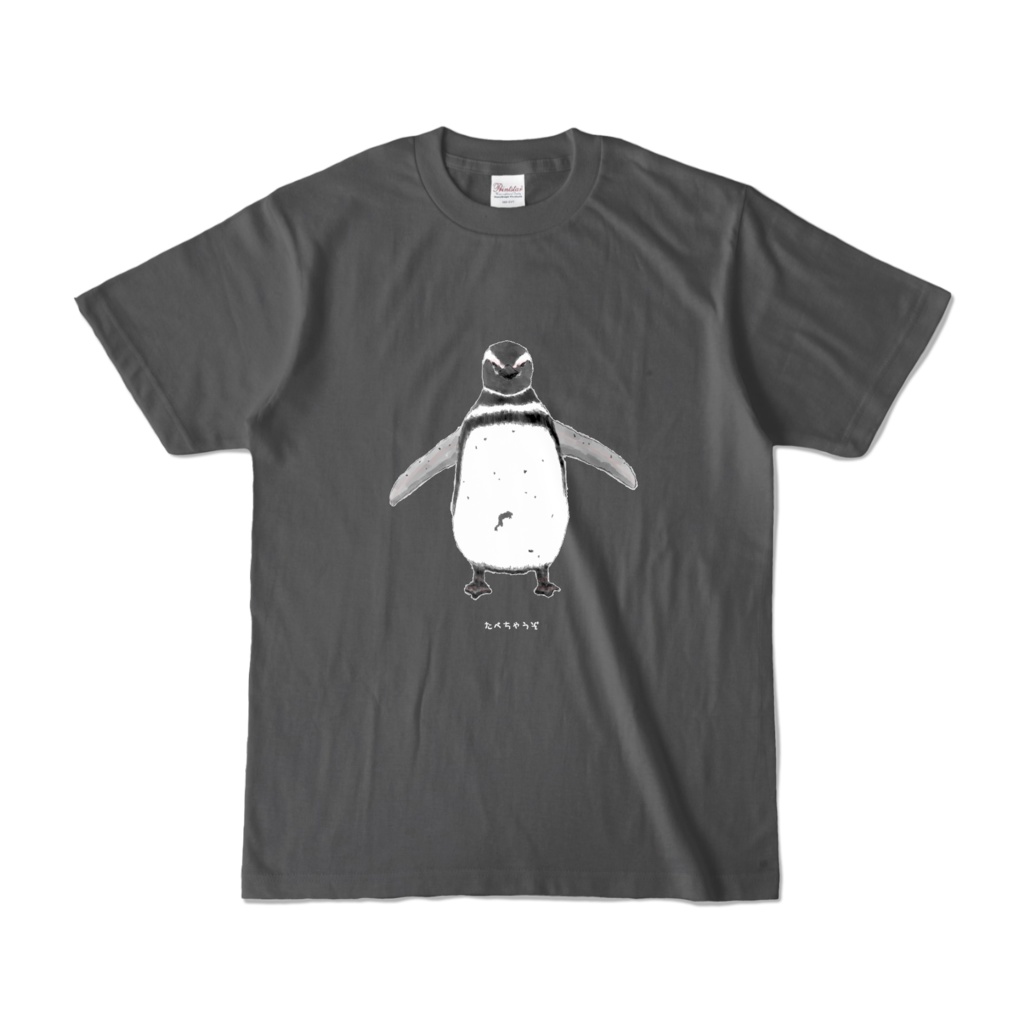 マゼランペンギンT