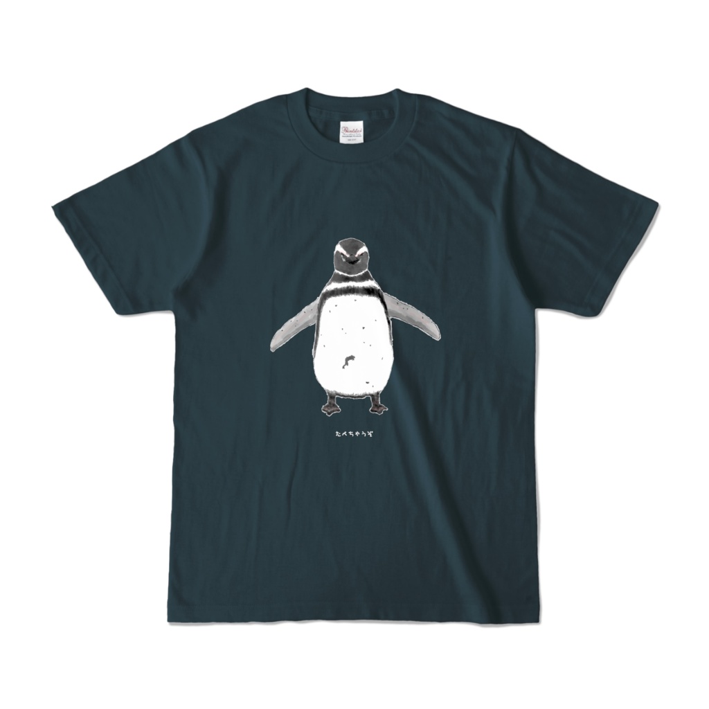 マゼランペンギンT
