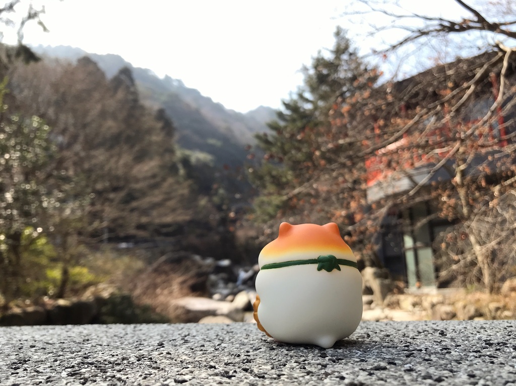 招きハムスター