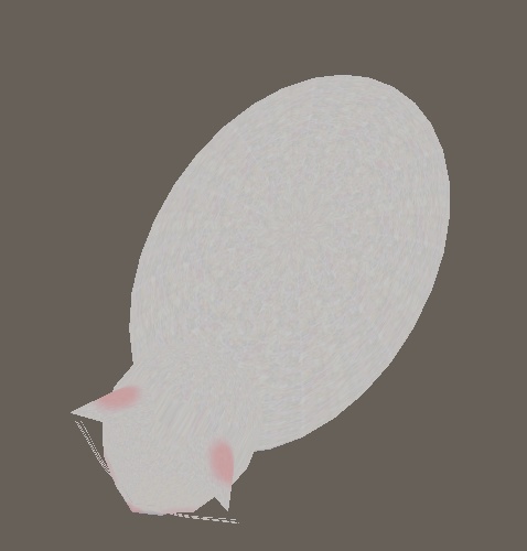 香箱ずわりの猫