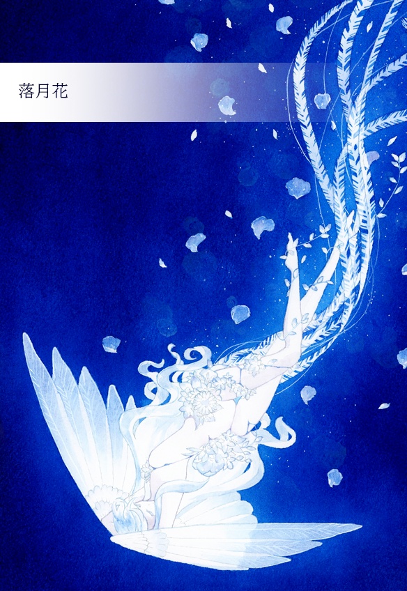 <2024>ポストカード