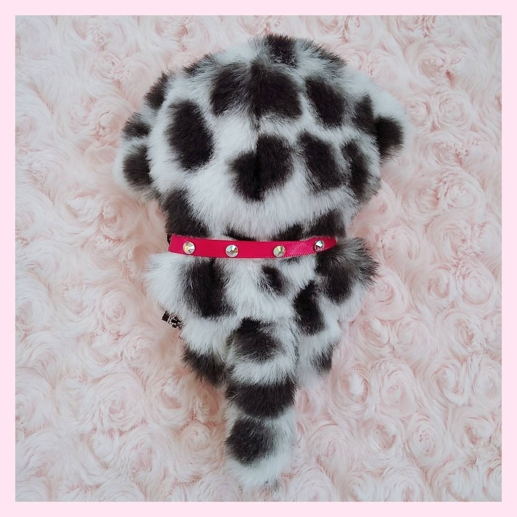 ❤︎Dalmatian❤︎