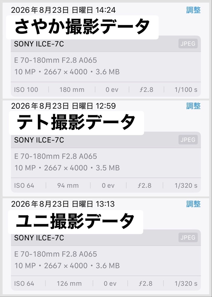 Lightroom現像プリセット_おためし3種