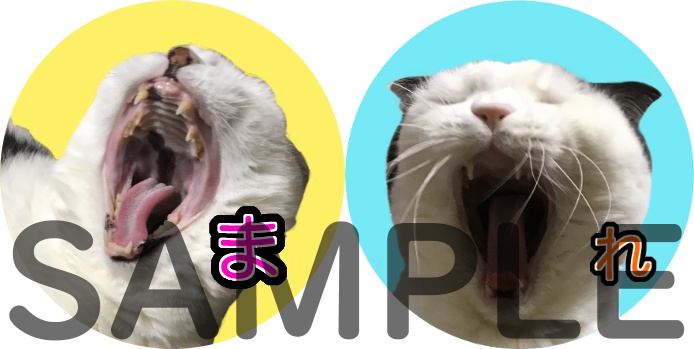 【おまけつき】ねこ写真集第2弾