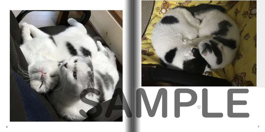 【おまけつき】ねこ写真集第2弾