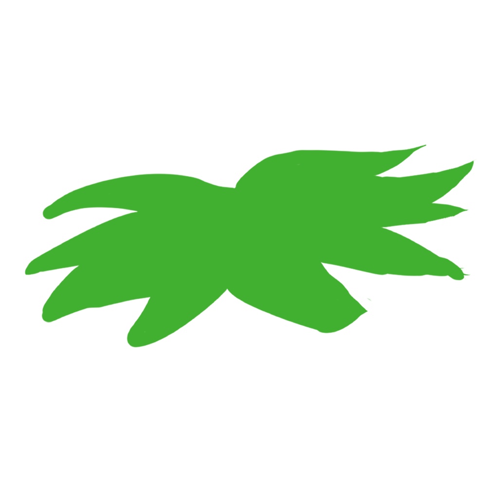 イチゴアクキー