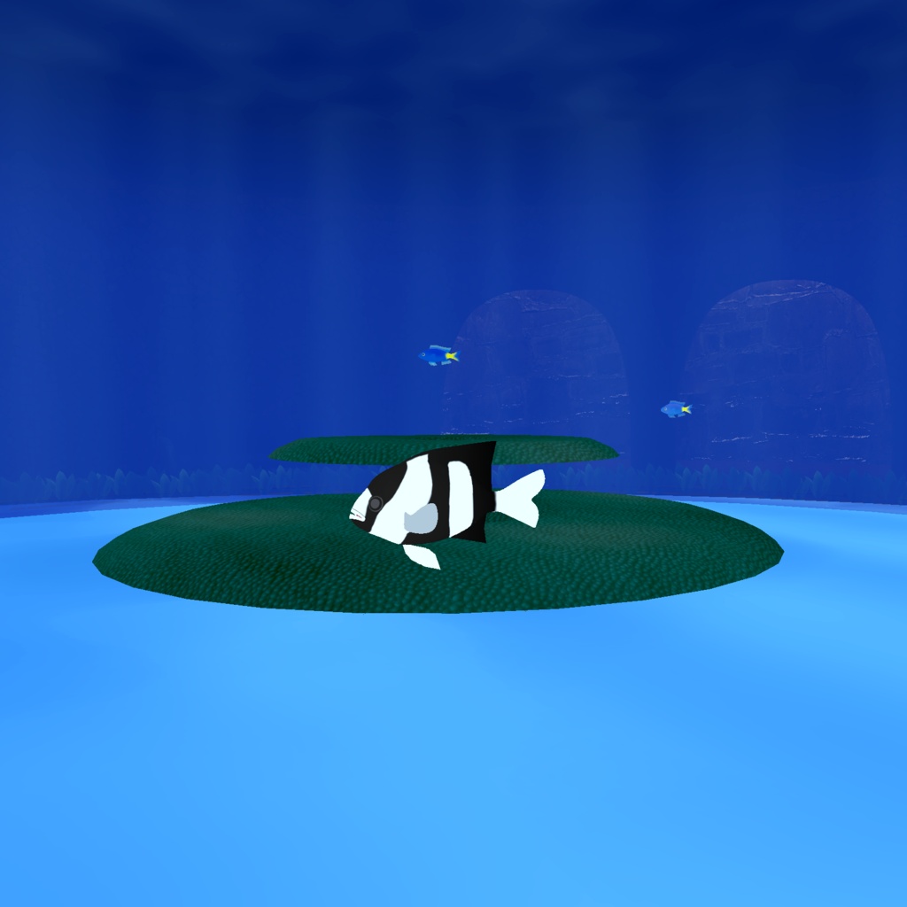Glassflow Sanctuary _ 小さな海 – With Aquarium