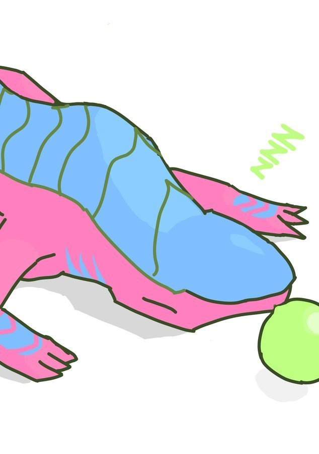 仰向けすやすやドラゴン