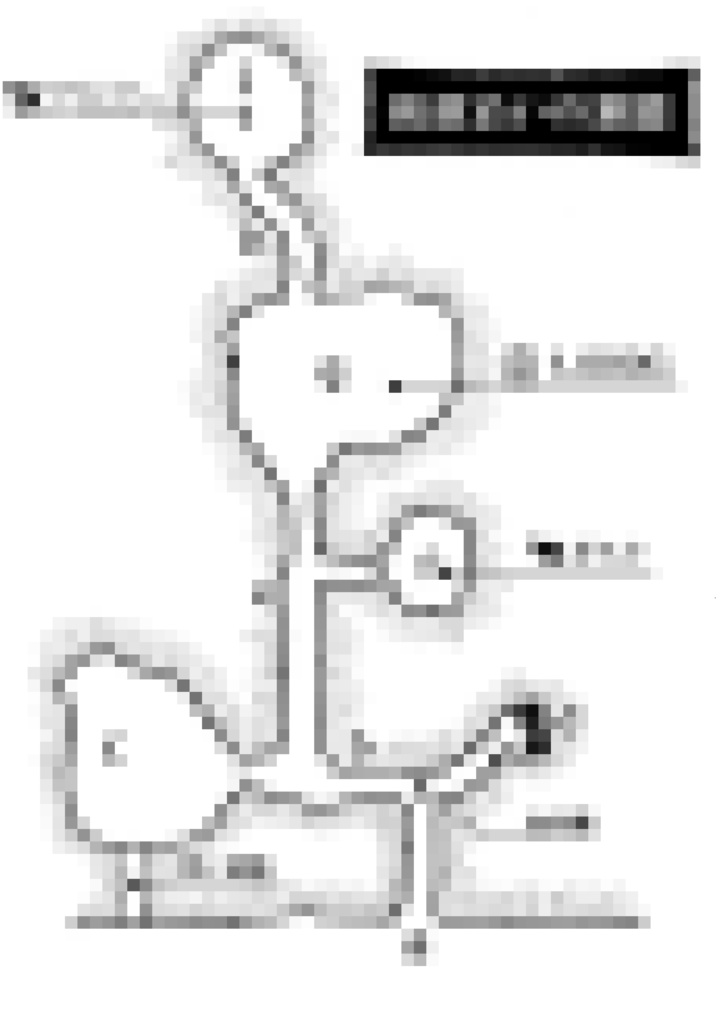 SWシナリオ『蛮族達の版図』