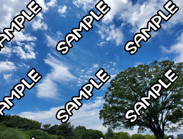 おすそわけ写真集(第一弾)A