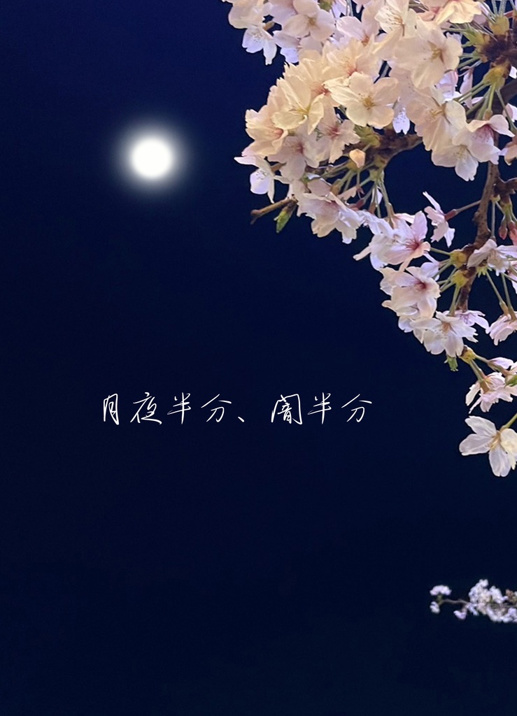 月夜半分、闇半分