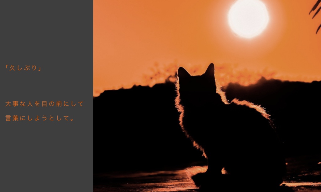 CoC6th【サン・シェード・ネザー】